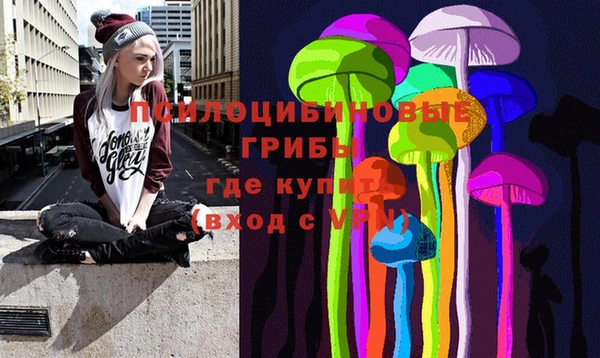 дмт Богородск