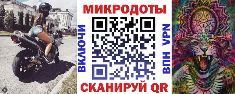 Псилоцибиновые грибы Psilocybine cubensis  Югорск 